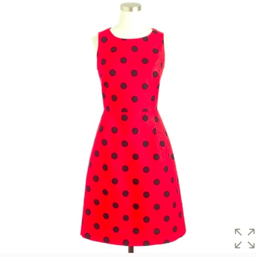 J. Crew Adorable Polkdot Dress